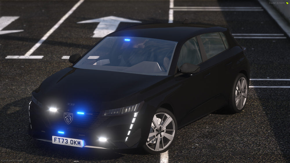 2023 MPS Peugeot 308 Q Car