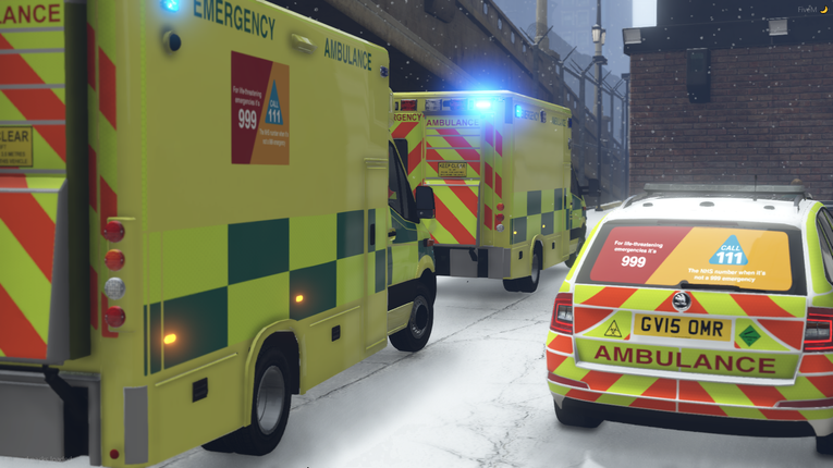 2011 SE Style Mercedes Benz Sprinter Double Crewed Ambulance