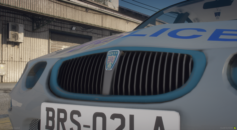 Generic Rover 25